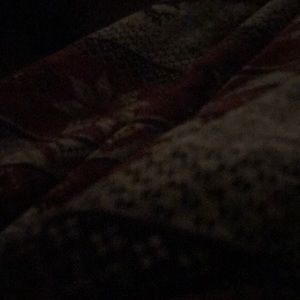 Meet your Posher, Steven